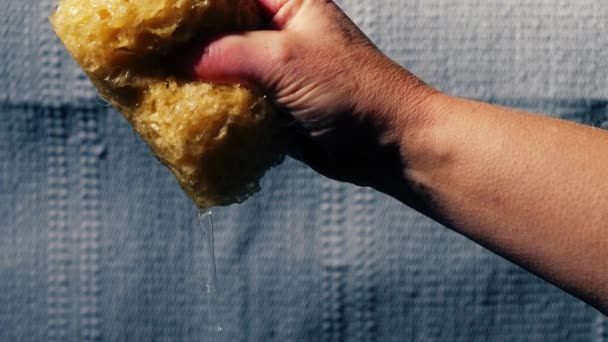 Hand Drückt Wasser Aus Natürlichem Schwamm Medium Zoom Selektiver Fokus — Stockvideo