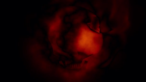 어두운 애니메이션에 빛으로 두개골 — 비디오