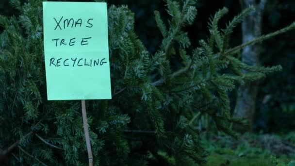 Recyklace Starý Vánoční Strom Střední Dolly Shot Zpomalený Pohyb Selektivní — Stock video