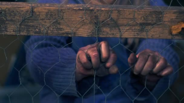 Руки Грязного Отчаявшегося Человека Проволочным Забором Закрывают Селективное Фокусирование Зума — стоковое видео