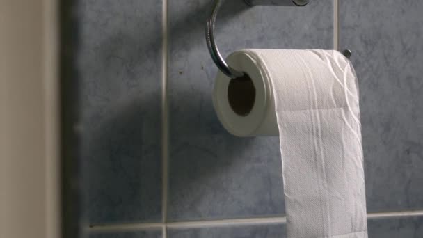 Tuvalet Rulosu Hafif Esintide Orta Boy Zoom Yavaş Çekim Seçici — Stok video