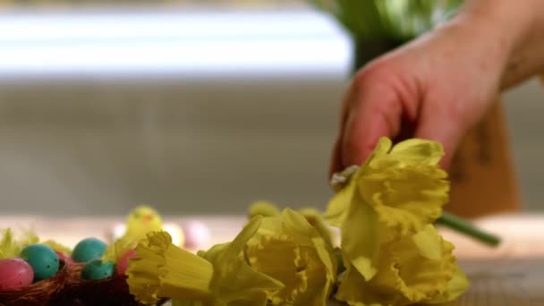 Oeufs Pâques Fleurs Jonquille Afficher Gros Plan Zoom Plan Sélectif — Video