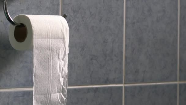 Toilette Loo Roll Bagno Brezza Zoom Medio Colpo Lento Messa — Video Stock