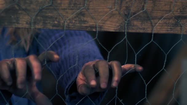 Tel Örgülerin Arkasında Kirli Çaresiz Bir Adamın Elleri Yaklaş Odaklan — Stok video