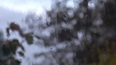 Fırtınada yağmur damlaları fırtınadan görüntüye evden yavaş çekimde 4k seçici odağı kapat 