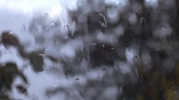 Raindrops Вікні Штормі Дому Повільний Рух Крупним Планом Вибірковий Фокус — стокове відео
