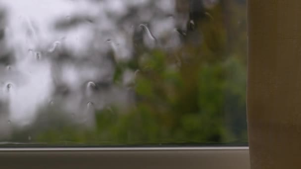 Rain Storm View Window Looking Slow Motion Close Selective Focus — Stock Video