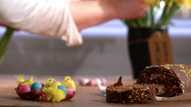 Празднование Пасхальный Шоколадный Торт Нарциссами Цветы Отображают Средний Выстрел Избирательный — стоковое видео