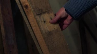 Marangoz atölyeden ahşap kalas alıyor. Orta boy, yavaş çekim seçici odak noktası.