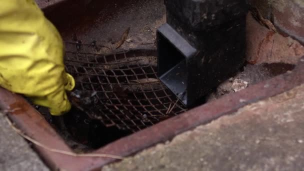 Woman Fixing Drain Cover House Close Zoom Shot Selective Focus — Stock Video