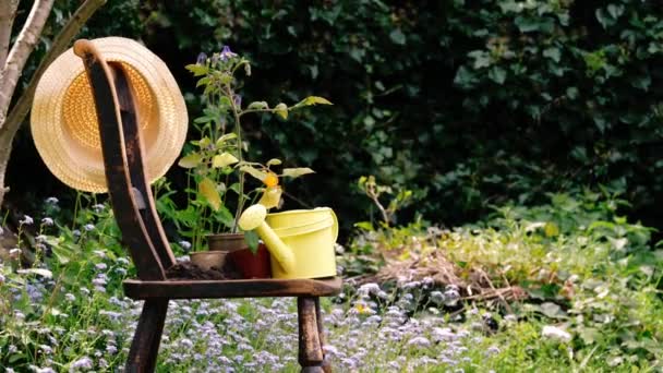 イギリスの花園の中型人形のズームショット選択的な焦点のクリケット古い椅子 — ストック動画