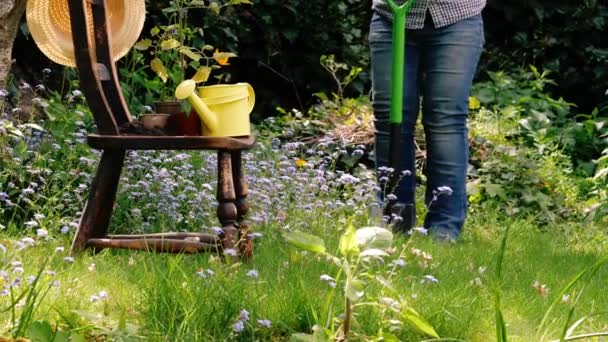 Zahradník Angličtině Květinová Zahrada Široký Zoom Záběr Selektivní Zaměření — Stock video