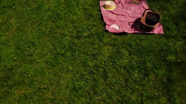 Picnic Blanket Basket Green Grass Lawn Aerial Drone Selective Focus — Stock Video