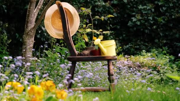 Rickety Starý Židle Angličtině Květina Zahrada Medium Shot Selektivní Zaměření — Stock video
