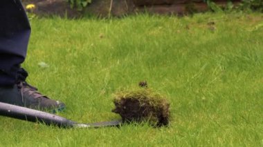 Bahçıvan bahçe çimlerinde çukur kazar zoom çekim yavaş çekim seçici odak