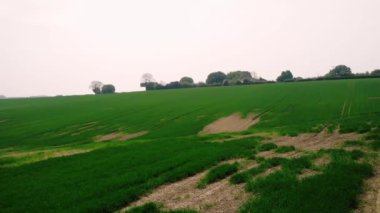 Yazın Yorkshire 'da tarım arazisi geniş hava manzarası insansız hava aracı zoom seçici odak noktası