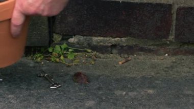 El, kapının anahtarını evin dışında saksının altında bulur. Yakınlaştır, yavaş çekimde odaklan.