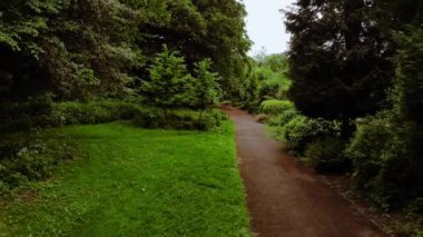 İngiltere 'de uzun ağaçlı ve patikalı çim parkı geniş hava zoom geniş hava aracı seçici odak noktası