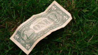 El, çimenlerin üzerinde Amerikan doları buluyor.