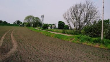 Kuru fasulyeler, Yorkshire 'da yaz mevsiminde hava sahasında 4k seçici odaklı insansız hava aracı taramasında yetişir.