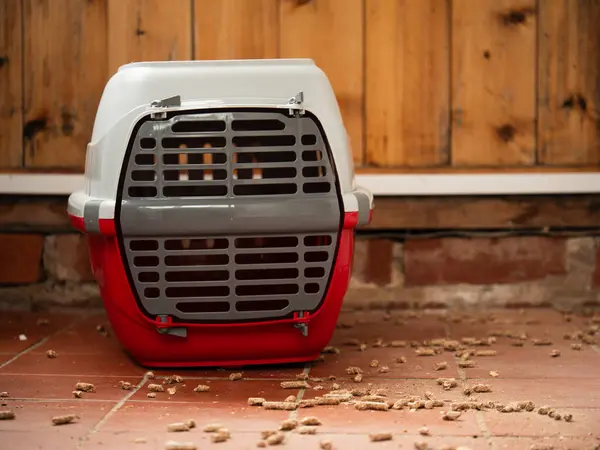 Kurtarma kalemi içinde evcil kedi taşıyıcısı seçici odak noktası