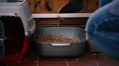 Kedi kurtarma gönüllüsü kedi kumu değiştiriyor. Yavaş çekim. 4K seçici odak noktası.