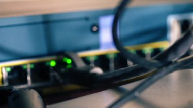 Yanıp sönen ağ anahtarı portundaki ethernet kablosu seçici odaklamayı kapat