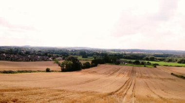 Yorkshire 'da olgunlaşmış buğday ekinleri 4k genişliğinde İHA hava saldırısı seçici odak noktası