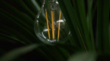 Ağaçtaki güneş enerjisi ampulü seçici odağı yakınlaştır