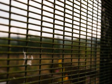 Güvenlik kapısı, seçici odak noktası olan özelliği korur