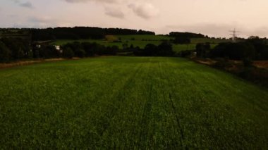 Kolza tohumu arazisi insansız hava aracı seçici odaklanma alanı