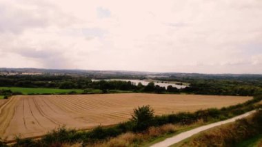 Yorkshire 'da olgunlaşmış buğday ekinleri 4k genişliğinde İHA hava saldırısı seçici odak noktası