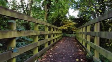 Autumn Park 'taki ahşap köprüden geçerken 4k seçici odak noktası
