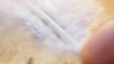 El ele tutuşan beyaz tüy makro 4k yakın seçici odak