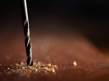 Matkap ucu tahtaya tutunuyor Makro çekim seçici odaklanma