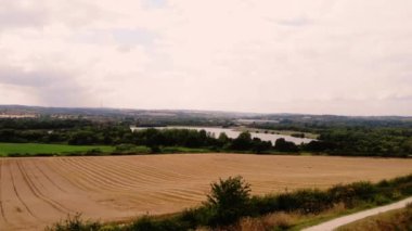Yorkshire 'da olgunlaşmış buğday ekinleri geniş zoom drone hava görüntüsü seçici odak noktası