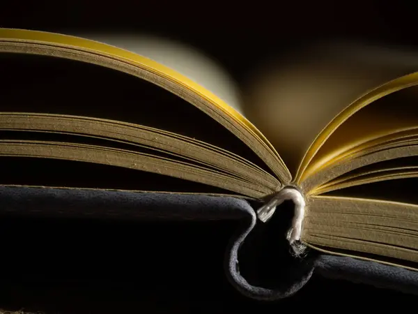 Günlük günlüğü kağıt kitap arkaplanını aç Makro çekim seçici odağı kapat