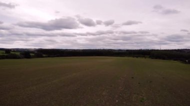 Yaz mevsiminde Yorkshire 'daki tarım arazisi 4k insansız hava aracı seçici odaklı.