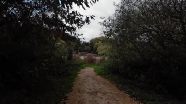 Autumn Park yolundan geçen yol geniş çaplı alçak İHA 4k seçici odak noktası