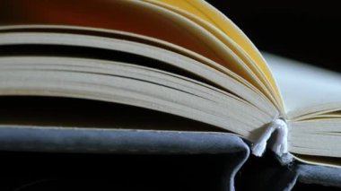 Günlük günlük defteri arkaplanını aç Makro Doli yakınlaştırmasını kapat Seçici odak noktası