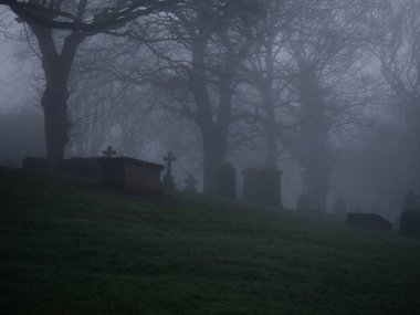 Eerie Graveard kalın sis ve sis geniş açı seçici odak
