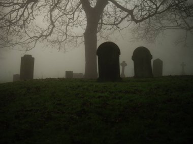 Kalın sis ve sis içinde tüyler ürpertici bir mezarlık seçici bir odak noktası