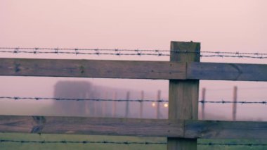 Tüyler ürpertici sisli otoyolda 4k lik seçici bir odak noktası.