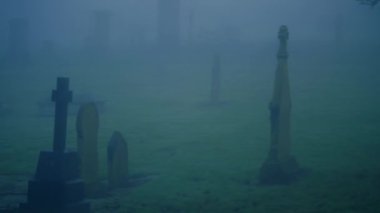 Kalın sis ve sis içinde tüyler ürpertici bir mezarlık seçici bir odak noktası.