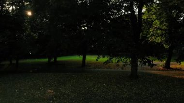 Akşam karanlığında İngiliz parkındaki ağaçlar geniş hava aracı 4k genişliğinde seçici odak noktası.