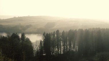 Kırsal göl ve çam ağaçları Tepesi İlçe Ulusal Parkı sisli bir günde zoom insansız hava aracı seçici odak noktası