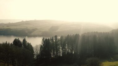 Kırsal göl ve çam ağaçları Tepesi Bölge Ulusal Parkı sisli bir günde 4k hava aracı seçici odak noktasında