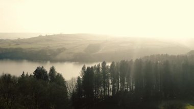 Kırsal göl ve çam ağaçları Tepesi Bölge Ulusal Parkı sisli bir günde 4k hava aracı seçici odak noktasında