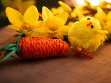 Paskalya yumurtaları ve nergis çiçekleri düz bir şekilde sergilenir.