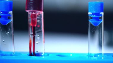 Kan örneği makrosu olan test tüpleri 4k 'lık yakın çekim yavaş çekim seçici odak noktası